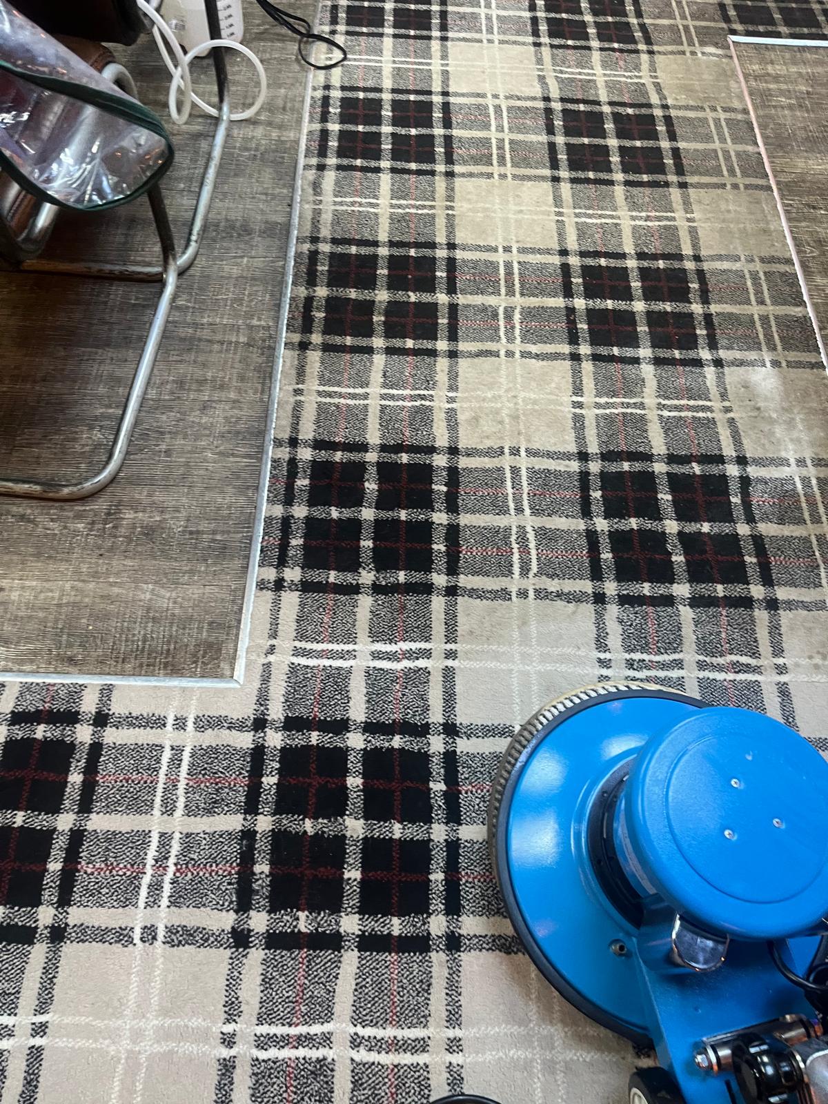 Carpet cleaning before and after photo 21