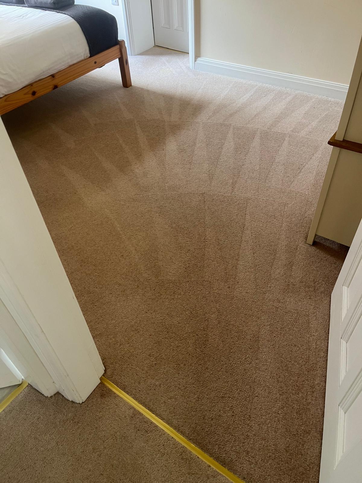 Carpet cleaning before and after photo 25