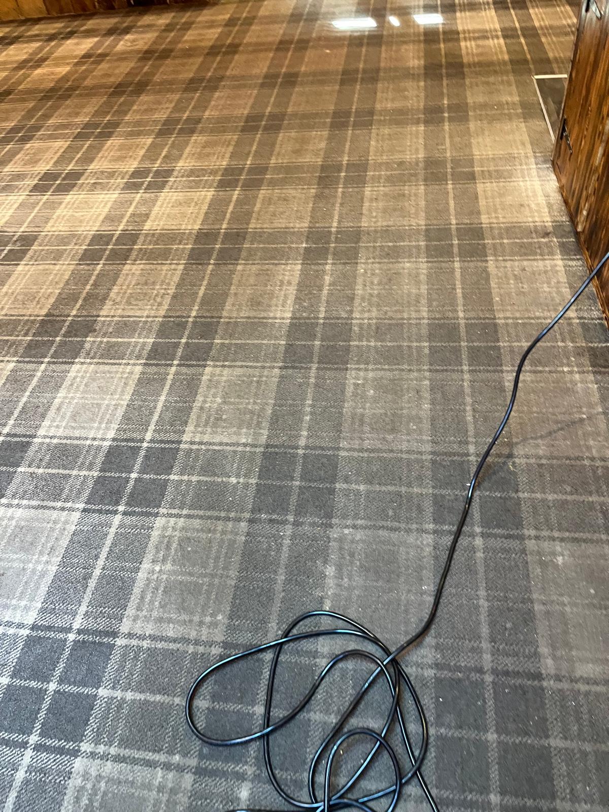 Carpet cleaning before and after photo 9