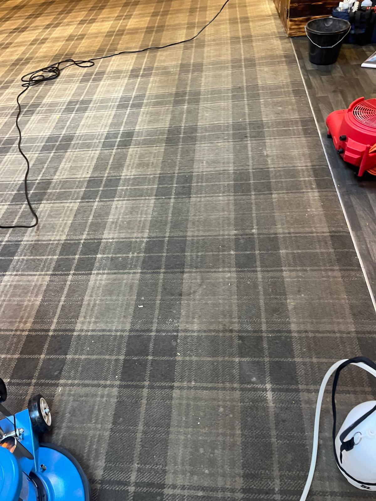 Carpet cleaning before and after photo 10