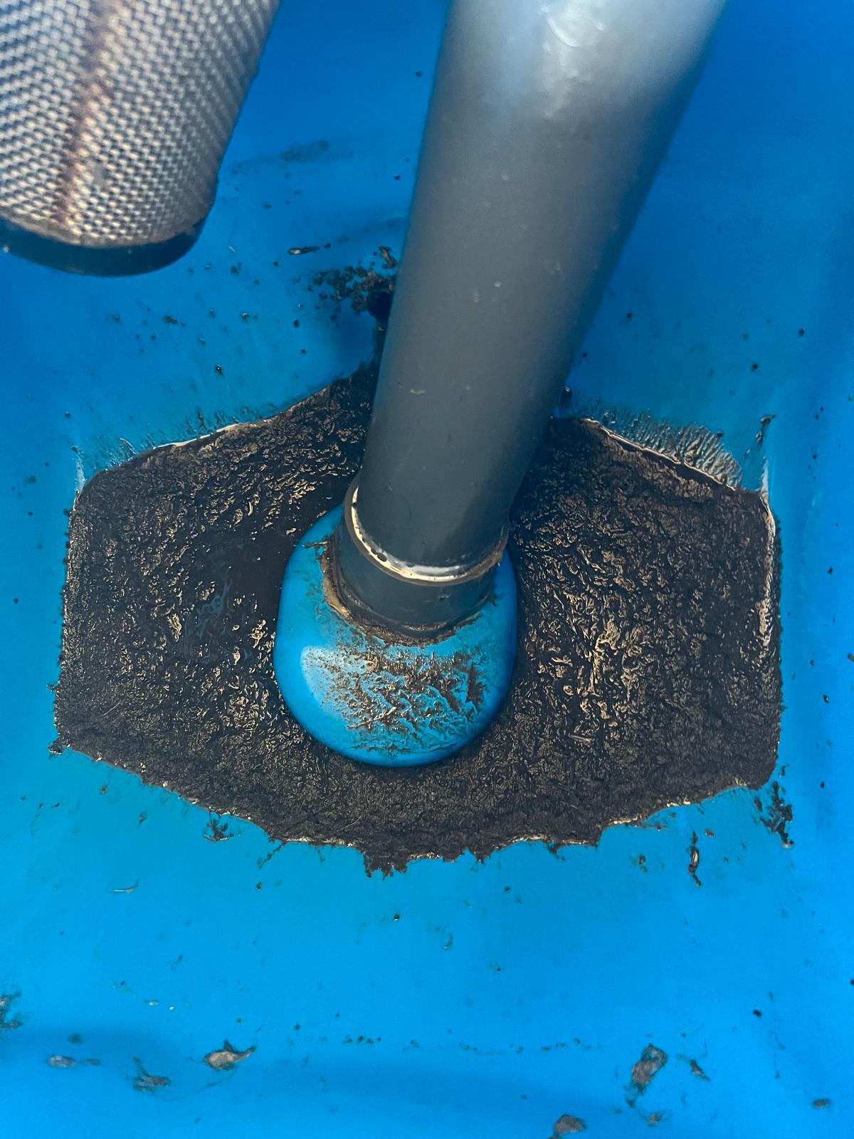 Carpet cleaning before and after photo 39