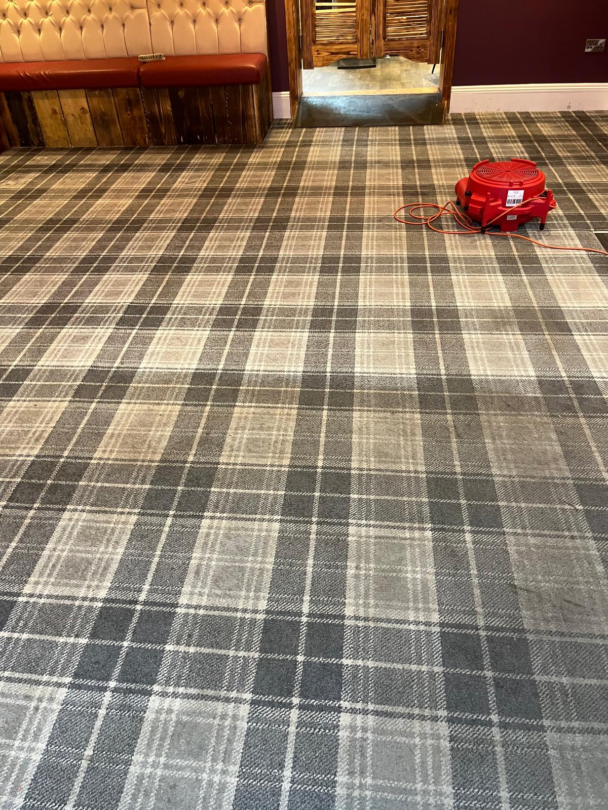 Carpet cleaning before and after photo 14